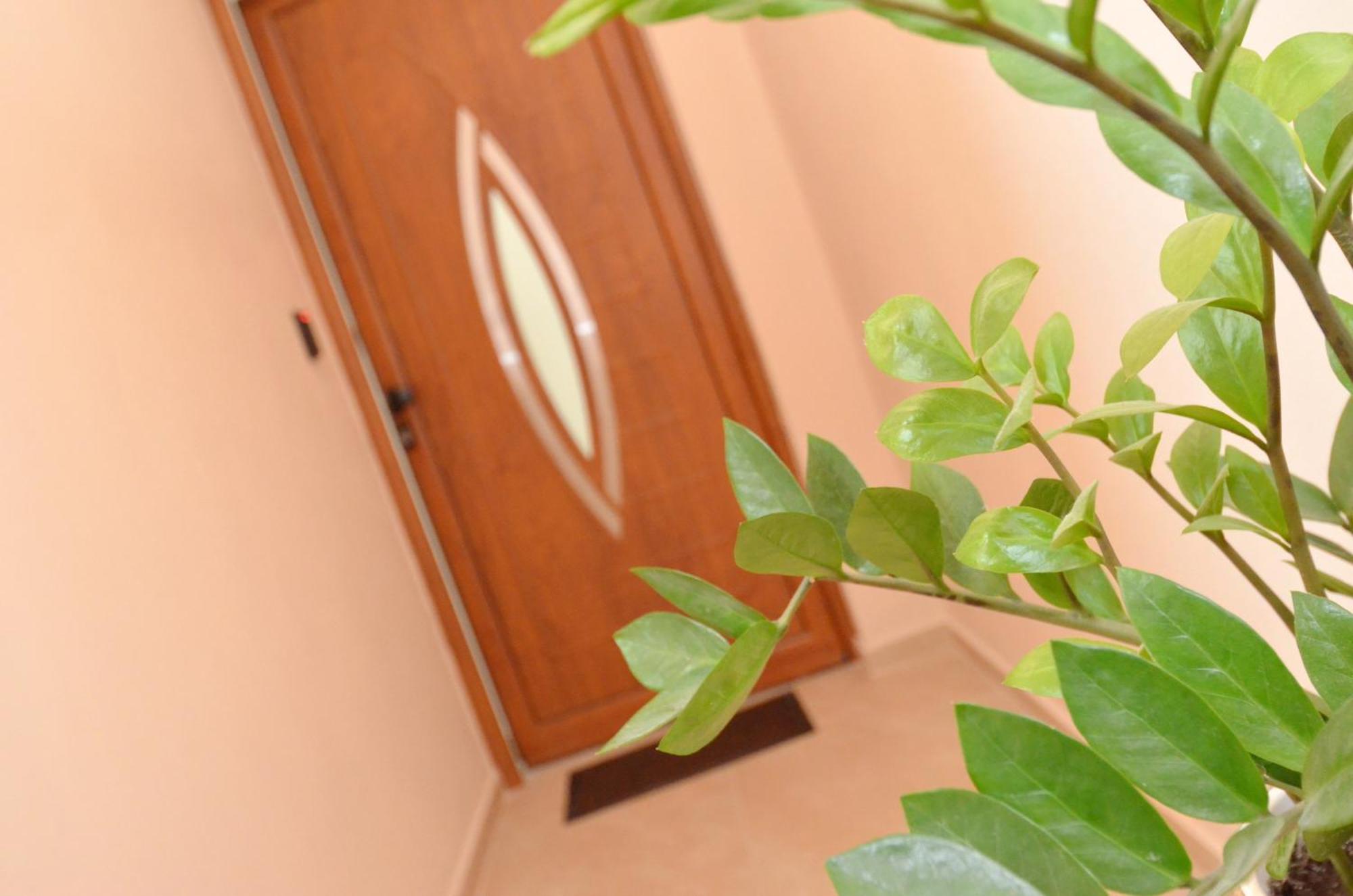 Apartments Jankovic Kotor Habitación foto
